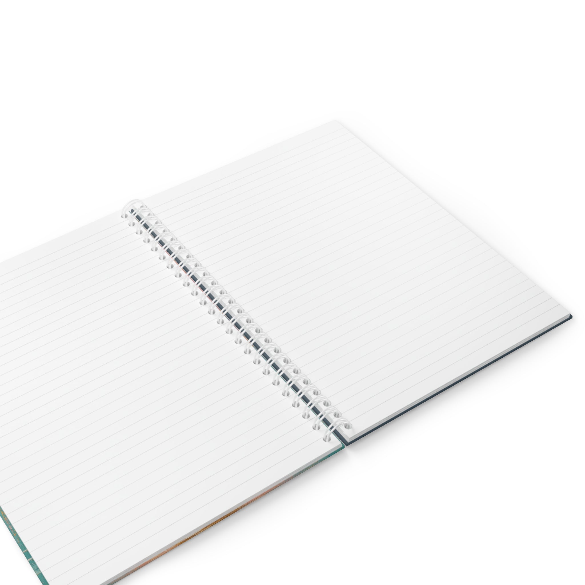 Carnet d'Art et d'Introspection : L'Évolution